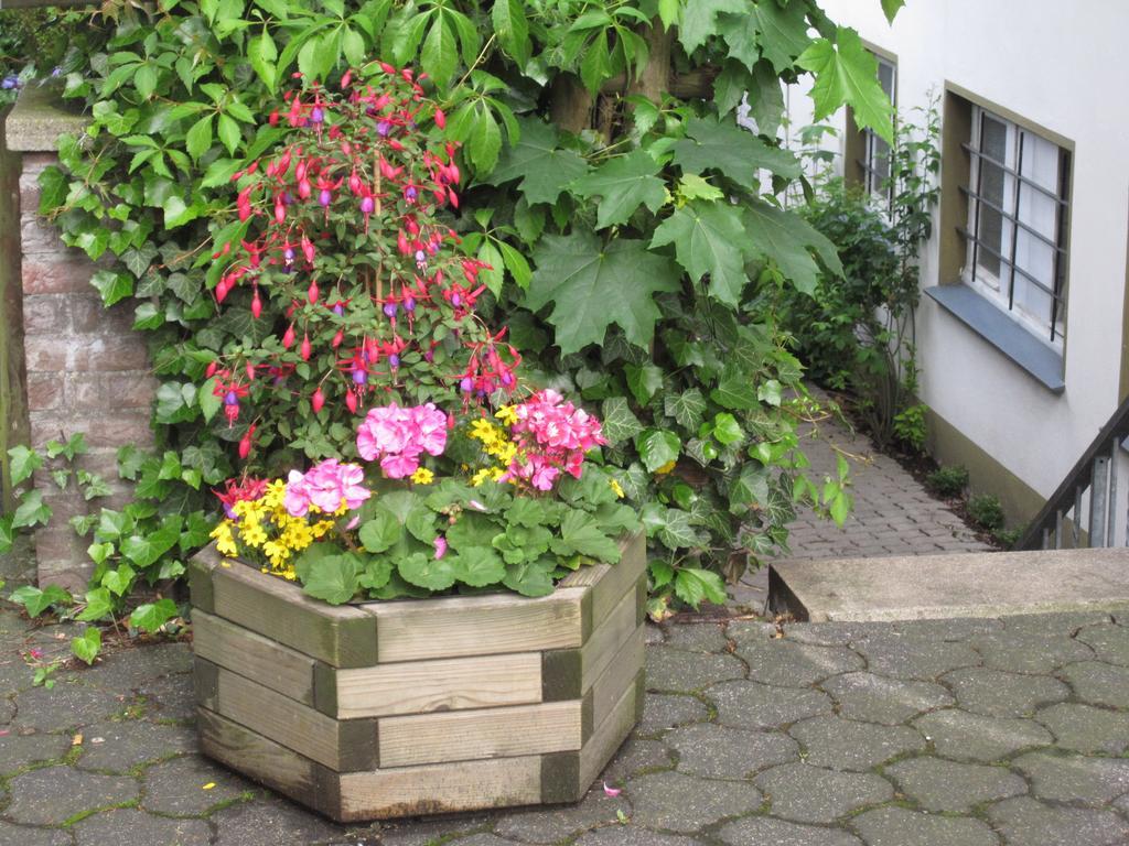 Heidi'S Art Hotel Arnsberg Ngoại thất bức ảnh